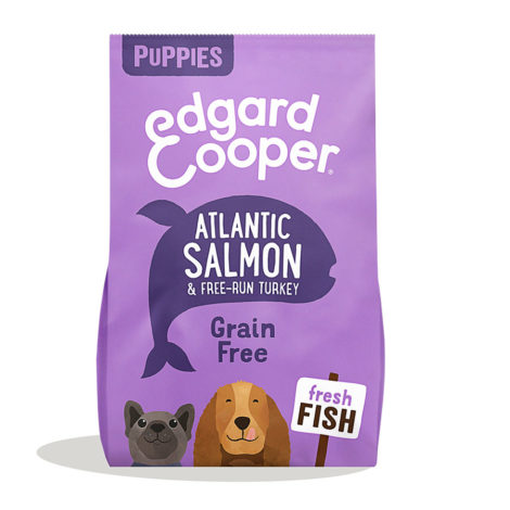 edgard_coopper_puppy_salmon_pienso perro