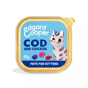 edgard-cooper-bacalao pollo kitten
